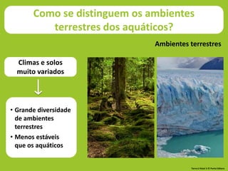 Ambientes terrestres
• Grande diversidade
de ambientes
terrestres
• Menos estáveis
que os aquáticos
Como se distinguem os ambientes
terrestres dos aquáticos?
Climas e solos
muito variados
Terra à Vista! 5 © Porto Editora
 
