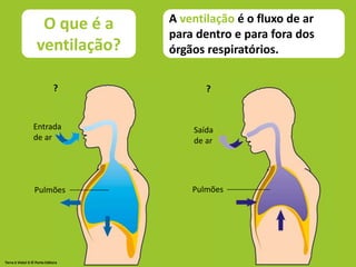 Apresentação do objetivo 6- Como funciona o sistema respiratório humano ...
