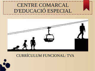 CENTRE COMARCAL
D'EDUCACIÓ ESPECIAL
CURRÍCULUM FUNCIONAL: TVA
 
