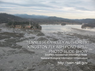 TENNESSEE VALLEY AUTHORITY  KINGSTON FLY ASH POND SPILL PHOTO SLIDE SHOW ,[object Object],[object Object],[object Object]