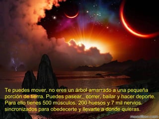 Te puedes mover, no eres un árbol amarrado a una pequeña
porción de tierra. Puedes pasear,, correr, bailar y hacer deporte.
Para ello tienes 500 músculos, 200 huesos y 7 mil nervios.
sincronizados para obedecerte y llevarte a donde quieras.
 