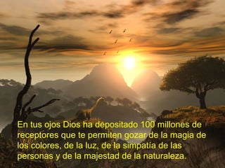 En tus ojos Dios ha depositado 100 millones de
receptores que te permiten gozar de la magia de
los colores, de la luz, de la simpatía de las
personas y de la majestad de la naturaleza.
 