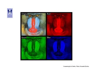 Comunicação de Áudio e Vídeo, Fernando Pereira
 