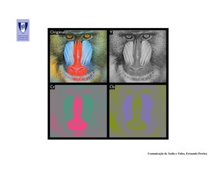 Comunicação de Áudio e Vídeo, Fernando Pereira
 
