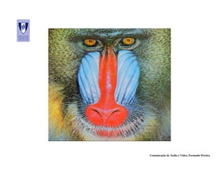 Comunicação de Áudio e Vídeo, Fernando Pereira
 