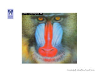 Comunicação de Áudio e Vídeo, Fernando Pereira
 