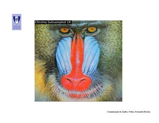 Comunicação de Áudio e Vídeo, Fernando Pereira
 