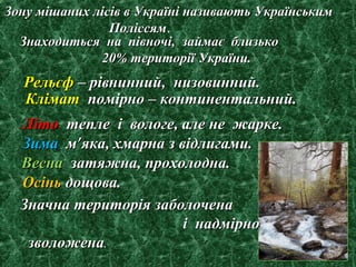 Значна територія заболоченаЗначна територія заболочена
і надмірноі надмірно
зволоженазволожена..
Знаходиться на півночі, займає близькоЗнаходиться на півночі, займає близько
20% території України.20% території України.
РельєфРельєф – рівнинний, низовинний.– рівнинний, низовинний.
КліматКлімат помірно – континентальний.помірно – континентальний.
ЛітоЛіто тепле і вологе, але не жарке.тепле і вологе, але не жарке.
ЗимаЗима мм’’яка, хмарна з відлигами.яка, хмарна з відлигами.
ВеснаВесна затяжна, прохолодна.затяжна, прохолодна.
ОсіньОсінь дощова.дощова.
Зону мішаних лісів в Україні називають УкраїнськимЗону мішаних лісів в Україні називають Українським
ПоліссямПоліссям.
 