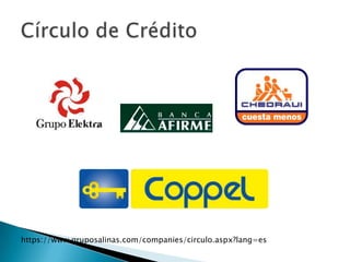 Es contador público egresado del ITESM en 1977Ingresa a Elektra en 1981, gracias a su bisabuelo que fundó Salinas y Rocha y luego se fue expandiendo 