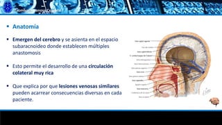 Trombosis Venosa Cerebral
 Anatomía
 Emergen del cerebro y se asienta en el espacio
subaracnoideo donde establecen múltiples
anastomosis
 Esto permite el desarrollo de una circulación
colateral muy rica
 Que explica por que lesiones venosas similares
pueden acarrear consecuencias diversas en cada
paciente.
 