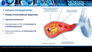 Trombosis Venosa Cerebral
 Factores Predisponentes
 Estados Protombóticos Adquiridos
 Hiperhomocisteinemia
 Esta promueve el TVC al incrementar la
actividad plaquetaria.
 Tiene una incidencia de 4.07% para TVC
(Meta-análisis)
G. Guenther, y A. Arauz. Trombosis venosa cerebral: aspectos actuales del diagnóstico y tratamiento; Neurología Vol.26. Núm. 08. 2011.
 