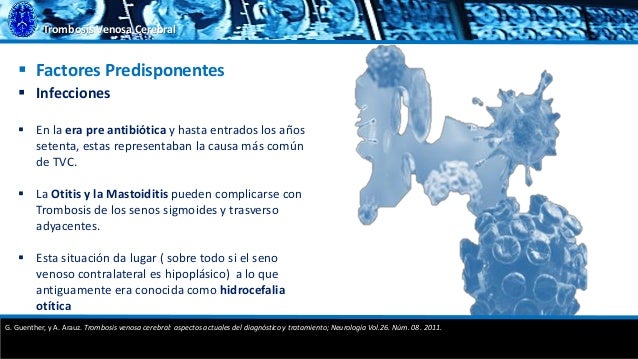 Los medios públicos a los asteriscos vasculares