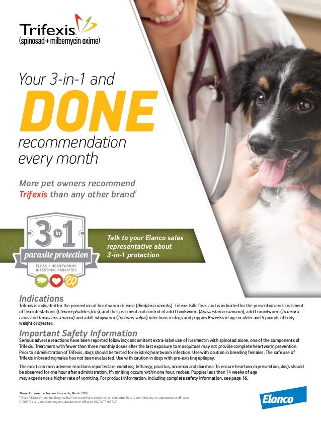 Tvc april17 on pet diabetes, a1c for cats and dogs