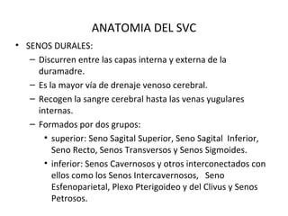 ANATOMIA DEL SVC
• SENOS DURALES:
– Discurren entre las capas interna y externa de la
duramadre.
– Es la mayor vía de drenaje venoso cerebral.
– Recogen la sangre cerebral hasta las venas yugulares
internas.
– Formados por dos grupos:
• superior: Seno Sagital Superior, Seno Sagital Inferior,
Seno Recto, Senos Transversos y Senos Sigmoides.
• inferior: Senos Cavernosos y otros interconectados con
ellos como los Senos Intercavernosos, Seno
Esfenoparietal, Plexo Pterigoideo y del Clivus y Senos
Petrosos.
 