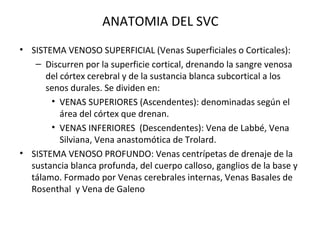 ANATOMIA DEL SVC
• SISTEMA VENOSO SUPERFICIAL (Venas Superficiales o Corticales):
– Discurren por la superficie cortical, drenando la sangre venosa
del córtex cerebral y de la sustancia blanca subcortical a los
senos durales. Se dividen en:
• VENAS SUPERIORES (Ascendentes): denominadas según el
área del córtex que drenan.
• VENAS INFERIORES (Descendentes): Vena de Labbé, Vena
Silviana, Vena anastomótica de Trolard.
• SISTEMA VENOSO PROFUNDO: Venas centrípetas de drenaje de la
sustancia blanca profunda, del cuerpo calloso, ganglios de la base y
tálamo. Formado por Venas cerebrales internas, Venas Basales de
Rosenthal y Vena de Galeno
 