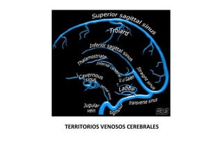 TERRITORIOS VENOSOS CEREBRALES
 