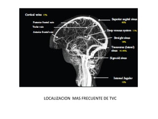 LOCALIZACION MAS FRECUENTE DE TVC
 