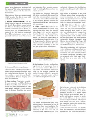 11
M AY 2 0 2 1
Figure 3: Carp Leather
upper layer of shagreen is shipped off
for tanning. This is the reason stingray
skin is not reliable with the state of a
live stingray.
Most stingray skins are chrome tanned
which permits the skin to stay solid
and adaptable for item make.
2. Atlantic Stingray Leather: The At-
lantic stingray is a type of stingray in
the family Dasyatidae, normal along
the Atlantic shoreline of North Ameri-
ca from Chesapeake Bay to Mexico, in-
cluding bitter and freshwater environ-
ments. It very well might be recognized
from different stingrays nearby by its
generally stretched nose. This species
is of minimal business significance.
The skin of the Atlantic stingray has a
totally unique surface contrasted with
the typical stingray leather. The skin
does not have a pearl structure. Leath-
er objects from Atlantic stingray cow-
hide are uncommon.
3. Carp Leather: Carp fishes are wide-
ly used across the world for obtaining
leather. These fishes are of various va-
rieties and come in different sizes. The
most widely used carp type is regular
carp for leather. This kind has a soft
Figure 2: Atlantic Stingray Leather
Figure 4: Catfish Leather
and scaly skin. They are used commer-
cially for making fashion products in a
variety of colors.
The barbe is a European freshwater
fish of the carp family. The skin of the
barbe has a commonplace scale struc-
ture and is immediately unmistakable
as fish leather. Leather objects pro-
duced using barbe skin are exception-
ally uncommon.
4. Catfish Leather: The catfish is the
biggest freshwater fish in Europe. They
lean towards huge lakes and streams
with sloppy water and are generally
found in Central and Eastern Europe
and Central Asia. The catfish has no
scales. The calfskin is smooth with an
unmistakable grain and drawing. A lot
of designs can be obtained naturally
obtained on catfish leather. The sizes
vary naturally according to the size
and type of the catfish slaughtered.
5. Cod Leather: Leather produced us-
ing the cod is an uncommon blend of
fine and coarse surfaces. The sizes of
cod leather are somewhat better than
those of the salmon, however the
surface is more differed – generally
smooth yet with clear coarse patches.
Cod is found along Iceland's coast.
Figure 5: Cod Leather
The length of cod leather stows away
is somewhere in the range of 40 and 50
cm and the shape are remarkable. Cod
leather covers up are triangular: most
extensive at the neck, 12-15 cm and
tightening back towards the tail. Nor-
mal size is 0.6 square feet. Cod leather
can be colored in quite a few different
tones.
Cod leather is accessible in two sorts
of finish: open scaling, which makes a
coarse completion, and shut scaling,
which conveys a fine completion. A full
scope of surface medicines is conceiv-
able with one or the other sort of finish.
6. Eel Skin: Eels are fish not snakes.
Since eels, like snakes, are legless.
About the lone thing eels share prac-
tically speaking with snakes is that
they are unfeeling and of comparative
shape. Their bodies are smooth and
disgusting to the touch and they live in
the sea and in some new water sources
universally. Marine (saltwater) eels
like the Moray Eel and the Conger Eel
arrive at imposing sizes. These species
are wild and are found in coral reefs.
Most different kinds of eels live in new
water in Europe and Eastern America.
Both European and American Eels
leave their new water homes at produc-
ing time in the harvest time when they
are prepared to lay their eggs. Youth-
ful eels show up at some point in the
spring.
Figure 6: Eel Skin
Eel skins are a biresult of the fishing
business (sushi) and they have a tex-
ture like quality and are sold in sheets
generally alluded to as boards. More
than 70 little skins entirely sewn to-
gether will make a genuine 1st grade
eel board. Eel has as of late become
exceptionally mainstream in European
high design, which has led to a consist-
ent expansion sought after abroad and,
less significantly, locally.
As the material is delicate and stretch-
able, this adaptability makes it ideal for
applications like furniture upholstery,
C O V E R S T O R Y
 