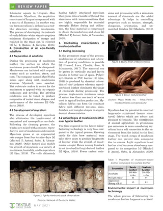 38
M AY 2 0 2 1
Figure 2: Tightly interlaced pack of mycelium
(Source: Network of Deutsche Welle)
Kilometer square in Oregon’s Blue
Mountains. Mycelium, the vegetative
constituent of fungus incorporated with
a matrix of filaments. In another way,
the term mycelium is defined as a root-
like structure covering mushrooms.
The process of developing the network
of such delicate white strands requires
minimum dissipation of energy and
resulted in the trash can be recycled
[2] (J, T, Rames, & Kavitha, 2015).
4. Construction of an eco-friendly
substitute
4.1 Preparation of substrate
During the processing of mushroom
leather, the surface on which the
mushroom grows should be dampened.
Mushrooms are included with organic
wastes such as sawdust, straw, and
corn. The company named MycoWorks
mixes agar along with mushrooms
whereas Mycotech uses sawdust.
Wet substrate makes it easier for the
mushroom to append with the organic
inclusions and develop. The growing
conditions can be tuned to produce
composites of varied sizes, shapes, and
performance of the outcome [3] (Ma-
daria, 2018).
4.2 Development of mycelium
The process of developing mycelium
also eliminates the involvement of
overpriced and cosmopolitan methods.
Following the cleaning process, the
wastes are mixed with a minute, repro-
ductive unit of mushroom and covered.
Mycelium grows at an exponential
rate ranges from four to nine days [4]
(Mitchell P, Antoni, Sabu, & Alexan-
der, 2020). Other factors also modify
the growth of mycelium is a variety of
mushroom, humidity, and temperature
[3] (Qua, 2019). The cells ultimately
having tightly interlaced mycelium
that grows into a bundle of thread-like
structures with interconnections that
are highly responsible for material
strength. Before drying and utiliza-
tion, the final material is compressed
to obtain the needed size and shape [4]
(Mitchell P, Antoni, Sabu, & Alexander,
2020).
5. Contrasting characteristics of
mushroom leather
5.1 During processing
In the premature stage of the process,
modification of substrates and altera-
tion of growing conditions is possible
[1] (Haneef, Luca, Cloudia, Jose, &
Athanassia, 2017). The material can
be grown in vertically stacked layers
results in better use of space. Polyvi-
nyl chloride or PVC leather [3] (Qua,
2019) is produced by chemical altera-
tion of vinyl polymer whereas myceli-
um-based leather eliminates the usage
of chemicals during processing. The
process implements minimum usage
of water less than one-tenth of water
used in typical leather production. My-
celium fabrics can form the resultant
fabric with different textures, sizes,
finishes, and complex shapes to acquire
desired characteristics.
5.2 Advantages of mushroom leather
over typical leather
The time required in the latest manu-
facturing technology is very less com-
pared to the typical process. Growing
cattle for skin (raw material) may
take three years to produce fragments
of leather while the growth of mush-
rooms is rapid. Hence raising livestock
is not involved in fungi-derived leather
[3] (Qua, 2019). Fewer carbon emis-
sions and processing with a minimum
amount of chemicals are the added
advantage. It helps in controlling
properties such as texture, strength,
elongation, orientation, and un-
matched finishes [6] (Madaria, 2018).
Figure 3: Ebony finish of Black Emboss
Figure 4: Brown Natural leather
(Source: Myco Works Inc. - https://www.
madewithreishi.com/products)
Mycelium has the potential to construct
large-scale structured (macro struc-
tured) fabrics which are robust and
pleasant to breathe. The contribution
of animal agriculture in greenhouse
gas emissions is more considering my-
celium has a soft connection to the en-
vironment from the initial to the final
stage. The watch straps of mushroom
leather can prevent skin annoyance
due to eczema. Light mycelium-based
leather also has more absorbency com-
pared to its competitor [4] (Mitchell
P, Antoni, Sabu, & Alexander, 2020).
Table 1: Properties of mushroom-based
leather compared to cowhide leather
Environmental impact of mushroom
technology
The whole process of fabricating the
mushroom leather happens in a closed-
R E V I E W P A P E R
 