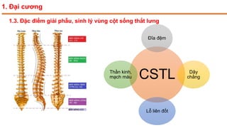 1.3. Đặc điểm giải phẫu, sinh lý vùng cột sống thắt lưng
1. Đại cương
CSTL
Đĩa đệm
Dây
chằng
Lỗ liên đốt
Thần kinh,
mạch máu
 