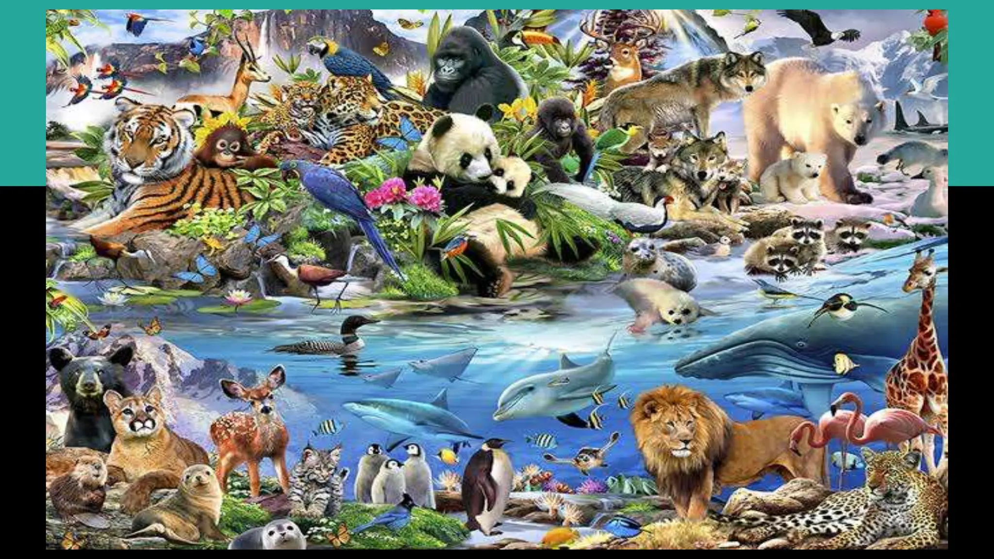 WHAT IS ADAPTATION IN ANIMALS CLASS 4 visual data 7