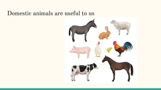 Domestic animals are useful to us
 