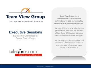 www.TeamViewGroup.comwww.TeamViewGroup.com
Team View Group is an
independent Salesforce.com
certified and registered consulting
firm located in Northern California.
We help B2B sales teams bridge the
gap between between the promise
of Salesforce CRM automation and
common implementation struggles.
We can help you and your team use
Salesforce CRM to see critical sales
and business information more
clearly – and act on it.
Executive Sessions
Salesforce CRM Help for
Senior Sales Execs
 