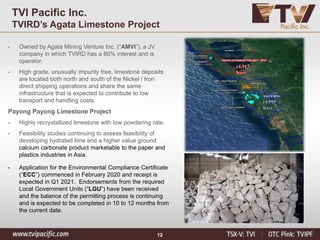 12
TVI Pacific Inc.
TVIRD’s Agata Limestone Project
• Owned by Agata Mining Venture Inc. (“AMVI”), a JV
company in which TVIRD has a 60% interest and is
operator.
• High grade, unusually impurity free, limestone deposits
are located both north and south of the Nickel / Iron
direct shipping operations and share the same
infrastructure that is expected to contribute to low
transport and handling costs.
Payong Payong Limestone Project
• Highly recrystallized limestone with low powdering rate.
• Feasibility studies continuing to assess feasibility of
developing hydrated lime and a higher value ground
calcium carbonate product marketable to the paper and
plastics industries in Asia.
• Application for the Environmental Compliance Certificate
(“ECC”) commenced in February 2020 and receipt is
expected in Q1 2021. Endorsements from the required
Local Government Units (“LGU”) have been received
and the balance of the permitting process is continuing
and is expected to be completed in 10 to 12 months from
the current date.
 