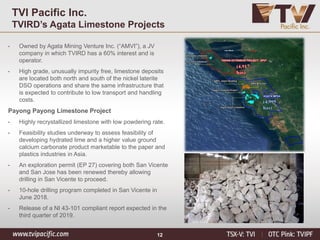 12
TVI Pacific Inc.
TVIRD’s Agata Limestone Projects
• Owned by Agata Mining Venture Inc. (“AMVI”), a JV
company in which TVIRD has a 60% interest and is
operator.
• High grade, unusually impurity free, limestone deposits
are located both north and south of the nickel laterite
DSO operations and share the same infrastructure that
is expected to contribute to low transport and handling
costs.
Payong Payong Limestone Project
• Highly recrystallized limestone with low powdering rate.
• Feasibility studies underway to assess feasibility of
developing hydrated lime and a higher value ground
calcium carbonate product marketable to the paper and
plastics industries in Asia.
• An exploration permit (EP 27) covering both San Vicente
and San Jose has been renewed thereby allowing
drilling in San Vicente to proceed.
• 10-hole drilling program completed in San Vicente in
June 2018.
• Release of a NI 43-101 compliant report expected in the
third quarter of 2019.
 