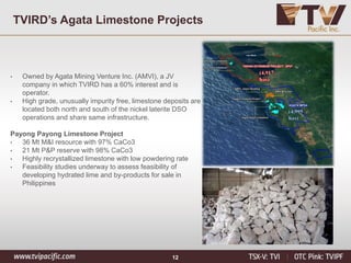 12
TVIRD’s Agata Limestone Projects
• Owned by Agata Mining Venture Inc. (AMVI), a JV
company in which TVIRD has a 60% interest and is
operator.
• High grade, unusually impurity free, limestone deposits are
located both north and south of the nickel laterite DSO
operations and share same infrastructure.
Payong Payong Limestone Project
• 36 Mt M&I resource with 97% CaCo3
• 21 Mt P&P reserve with 98% CaCo3
• Highly recrystallized limestone with low powdering rate
• Feasibility studies underway to assess feasibility of
developing hydrated lime and by-products for sale in
Philippines
 