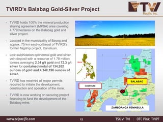 12
TVIRD’s Balabag Gold-Silver Project
Manila
CANATUAN
ZAMBOANGA PENINSULA
BALABAG
• TVIRD holds 100% the mineral production
sharing agreement (MPSA) area covering
4,779 hectares on the Balabag gold and
silver project.
• Located in the municipality of Bayog and
approx. 75 km east-northeast of TVIRD’s
former flagship project, Canatuan.
• Low-sulphidation epithermal gold and silver
vein deposit with a resource of 1.78 million
tonnes averaging 2.34 g/t gold and 72.3 g/t
silver for contained metal of 134,262
ounces of gold and 4,148,196 ounces of
silver.
• TVIRD has received all major permits
required to initiate the development,
construction and operation of the mine.
• TVIRD is now working on securing project
financing to fund the development of the
Balabag mine.
 