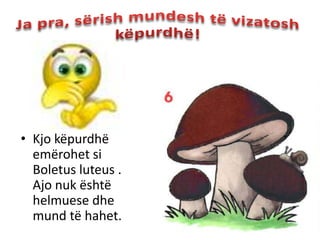 • Kjo këpurdhë
  emërohet si
  Boletus luteus .
  Ajo nuk është
  helmuese dhe
  mund të hahet.
 