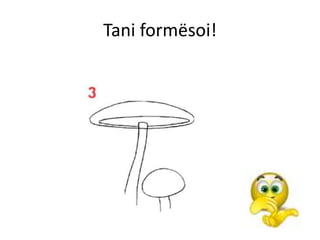 Tani formësoi!
 
