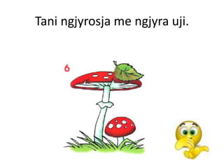 Tani ngjyrosja me ngjyra uji.
 