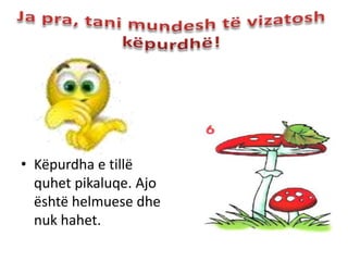• Këpurdha e tillë
  quhet pikaluqe. Ajo
  është helmuese dhe
  nuk hahet.
 