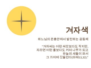 겨자색
하느님의 은총안에서 발전하는 공동체

  "겨자씨는 어떤 씨앗보다도 작지만,
자라면 어떤 풀보다도 커져 나무가 되고
           하늘의 새들이 와서
    그 가지에 깃들인다(마태13,32).”
 