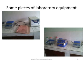 Tanzania veterinary laboratory agency (TVLA): Strengths and experiences 