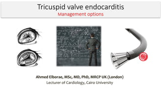 Tricuspid valve endocarditis
Management options
Ahmed Elborae, MSc, MD, PhD, MRCP UK (London)
Lecturer of Cardiology, Cairo University
 