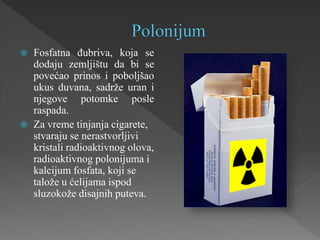  Fosfatna đubriva, koja se
dodaju zemljištu da bi se
povećao prinos i poboljšao
ukus duvana, sadrže uran i
njegove potomke posle
raspada.
 Za vreme tinjanja cigarete,
stvaraju se nerastvorljivi
kristali radioaktivnog olova,
radioaktivnog polonijuma i
kalcijum fosfata, koji se
talože u ćelijama ispod
sluzokože disajnih puteva.
 