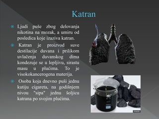  Ljudi puše zbog delovanja
nikotina na mozak, a umiru od
posledica koje izaziva katran.
 Katran je proizvod suve
destilacije duvana i prilikom
uvlačenja duvanskog dima
kondezuje se u lepljivu, sirastu
masu u plućima. To je
visokokancerogena materija.
 Osoba koja dnevno puši jednu
kutiju cigareta, na godišnjem
nivou "sipa" jednu šoljicu
katrana po svojim plućima.
 
