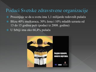  Procenjuje se da u svetu ima 1,1 milijarde redovnih pušača
 Blizu 40% muškaraca, 30% žena i 10% mladih uzrasta od
13 do 15 godina puši (podaci iz 2008. godine)
 U Srbiji ima oko 66,4% pušača
 