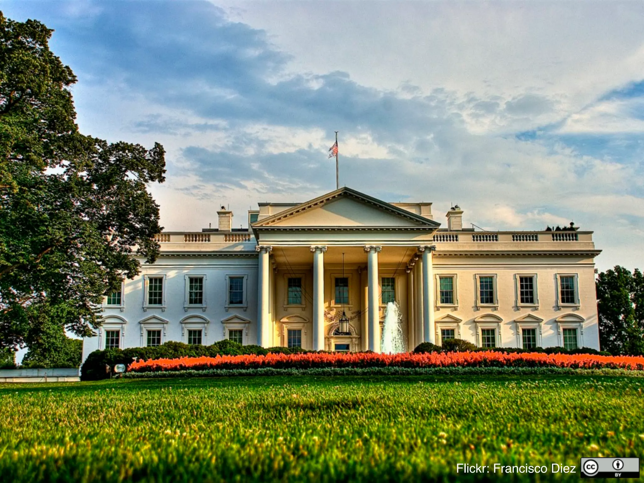 Flickr: Francisco Diez
 