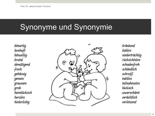 Synonyme und Synonymie
Prof. Dr. Jelena Kostić Tomović
30
 