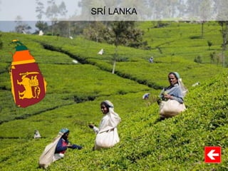 SRÍ LANKA
 
