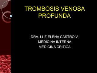 TROMBOSIS VENOSA
   PROFUNDA


 DRA. LUZ ELENA CASTRO V.
    MEDICINA INTERNA
     MEDICINA CRÍTICA
 