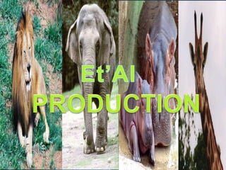 CREATED BY: Et’Al PRODUCTION  