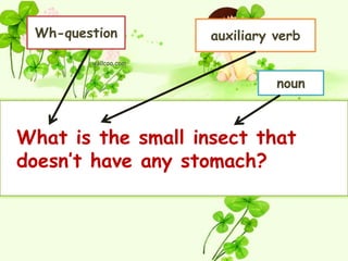 Wh-question        auxiliary verb


                              noun



What is the small insect that
doesn’t have any stomach?
 