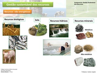 Subdomínio: Gestão Sustentável
dos Recursos
Colégio Conciliar de Maria Imaculada
Ano Letivo 2013/2014
Ciências Naturais – 8º ano Professora: Carolina Caçador
Gestão sustentável dos recursos
Recursos não energéticos
Recursos biológicos
Recursos hídricos Recursos mineraisSolo
Metálicos
Não metálicos
 