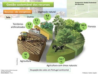 Subdomínio: Gestão Sustentável
dos Recursos
Colégio Conciliar de Maria Imaculada
Ano Letivo 2013/2014
Ciências Naturais – 8º ano Professora: Carolina Caçador
Solo
Gestão sustentável dos recursos
Recursos não energéticos
Ocupação dos solos em Portugal continental
PortoEditora
Agricultura com áreas naturais
14,7
%
32
%
Agricultura
Territórios
artificializados
3,5
%
2,2
%
Outros
Vegetação natural
8,6
%
38,5
%
Floresta
 