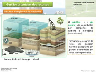 Subdomínio: Gestão Sustentável
dos Recursos
Colégio Conciliar de Maria Imaculada
Ano Letivo 2013/2014
Ciências Naturais – 8º ano Professora: Carolina Caçador
Gestão sustentável dos recursos
Formação de petróleo e gás natural
O petróleo e o gás
natural são constituídos
por compostos de
carbono e hidrogénio
(hidrocarbonetos).
Formaram-se a partir de
restos de plâncton
marinho depositado em
grandes quantidades em
zonas pouco profundas.
PortoEditora
Recursos energéticos não renováveis
 